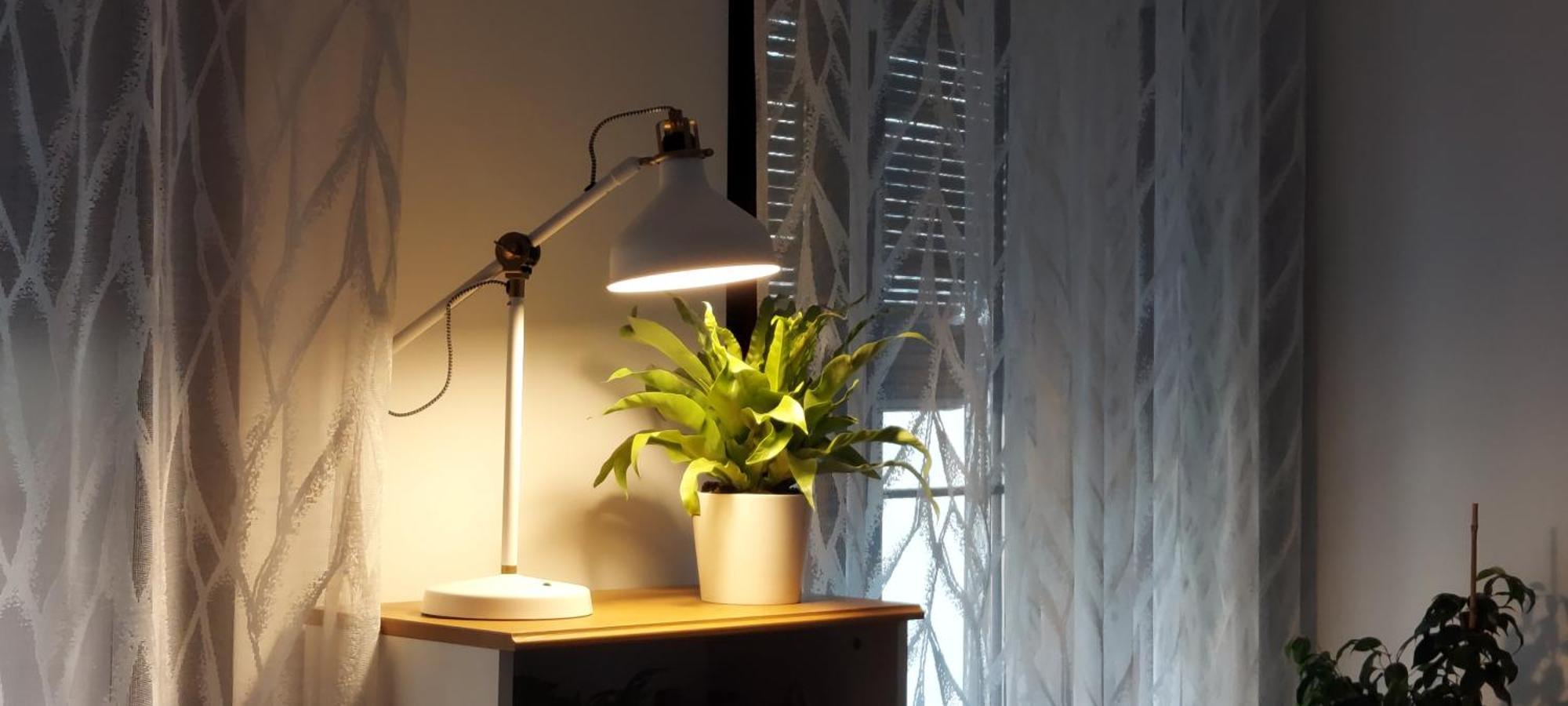 Apartamentos Los Descalzos Angel With Private Terrace Free Parking รอนดา ภายนอก รูปภาพ