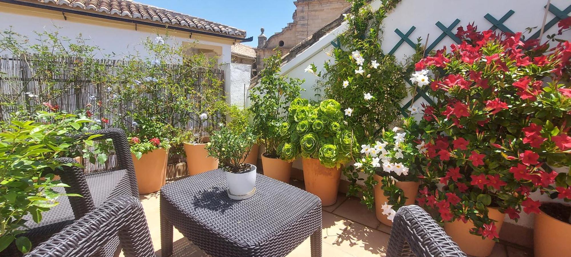 Apartamentos Los Descalzos Angel With Private Terrace Free Parking รอนดา ภายนอก รูปภาพ