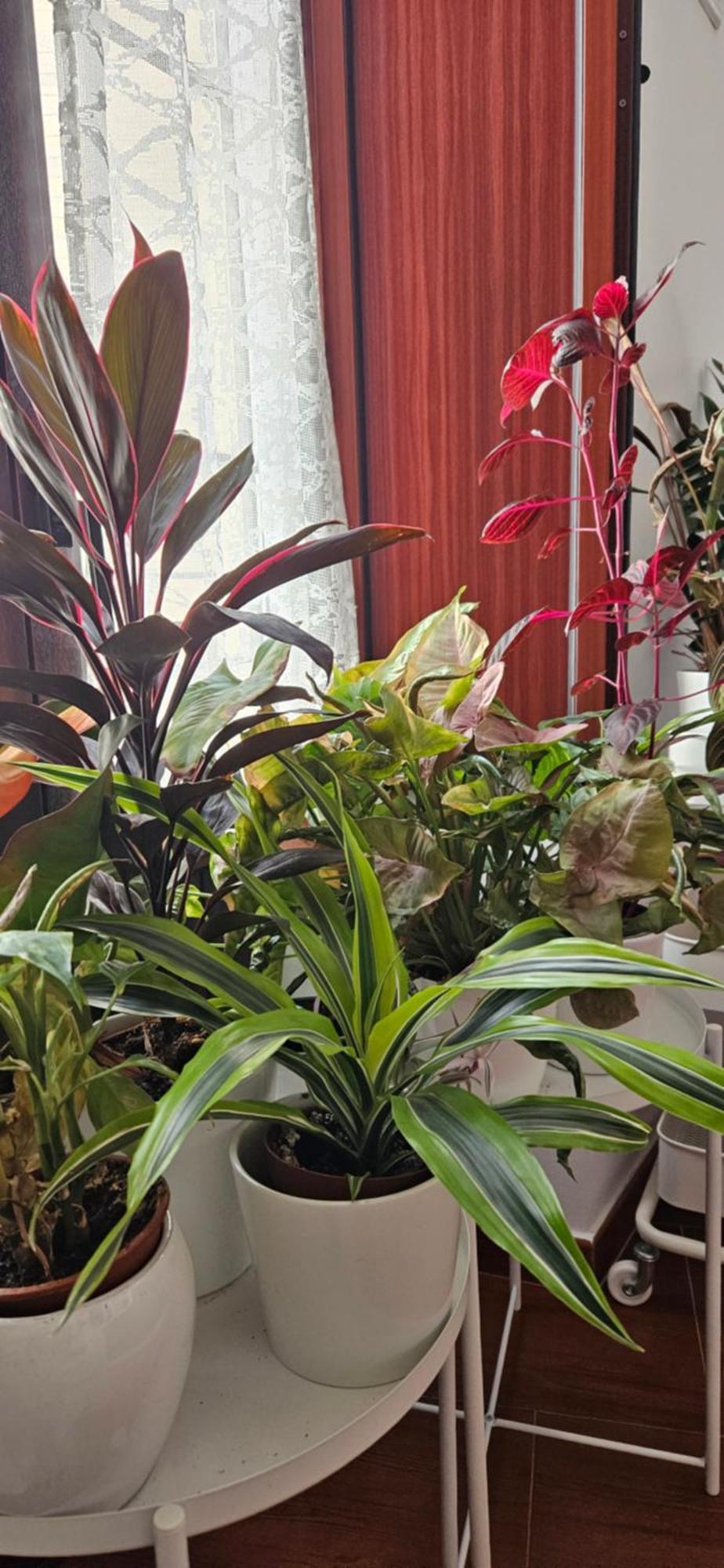 Apartamentos Los Descalzos Angel With Private Terrace Free Parking รอนดา ภายนอก รูปภาพ