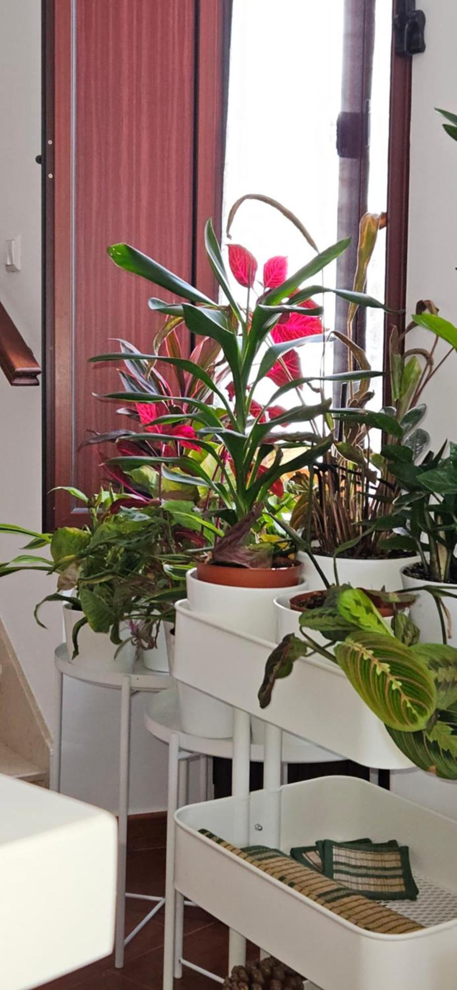 Apartamentos Los Descalzos Angel With Private Terrace Free Parking รอนดา ภายนอก รูปภาพ