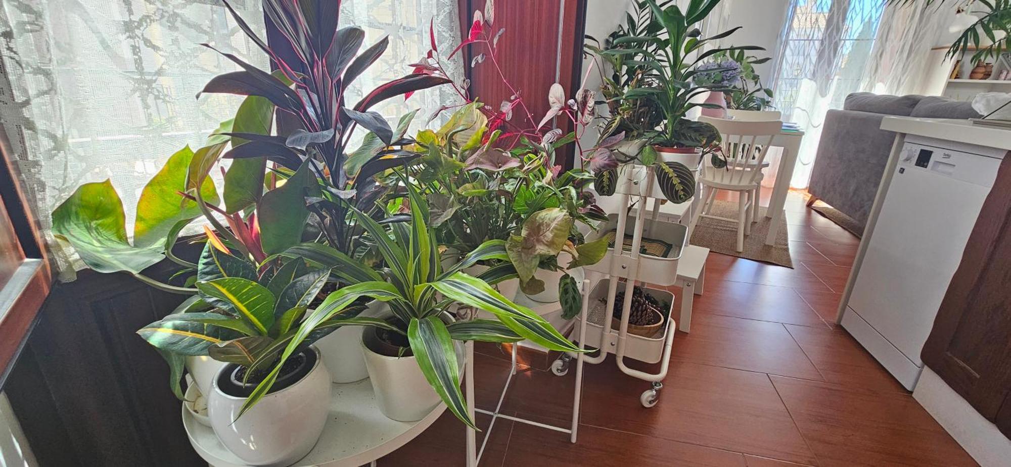 Apartamentos Los Descalzos Angel With Private Terrace Free Parking รอนดา ภายนอก รูปภาพ