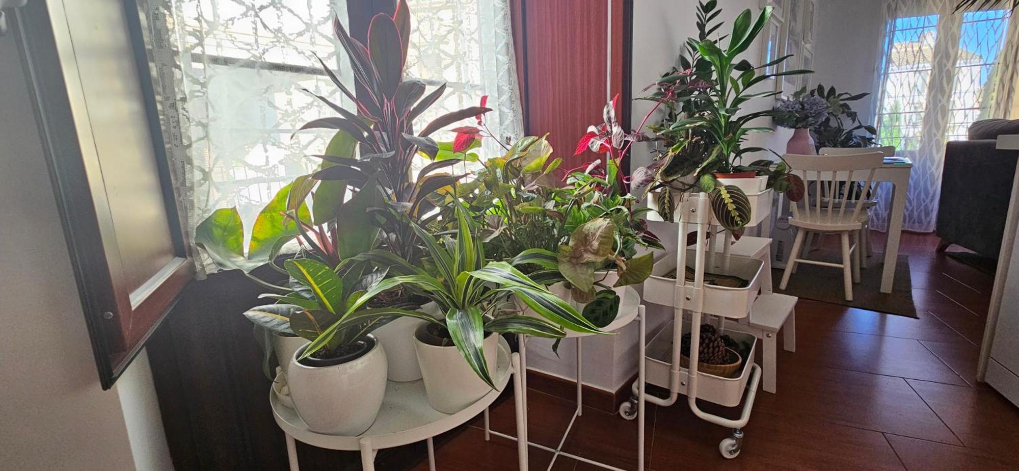 Apartamentos Los Descalzos Angel With Private Terrace Free Parking รอนดา ภายนอก รูปภาพ