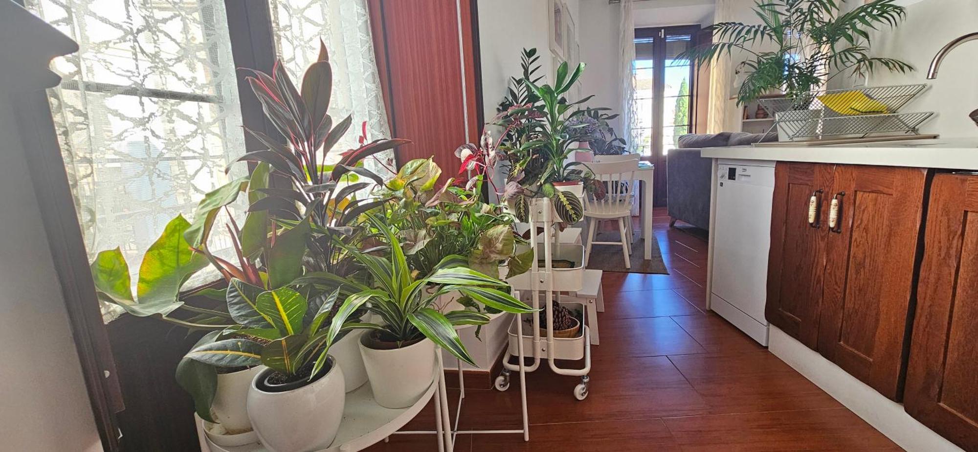 Apartamentos Los Descalzos Angel With Private Terrace Free Parking รอนดา ภายนอก รูปภาพ