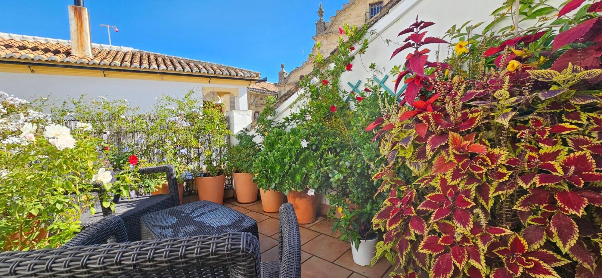 Apartamentos Los Descalzos Angel With Private Terrace Free Parking รอนดา ภายนอก รูปภาพ